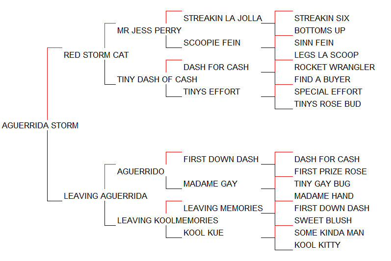 Pedigree Aguerrida Storm [Red Storm Cat x Leaving Aguerrida por Aguerrido]