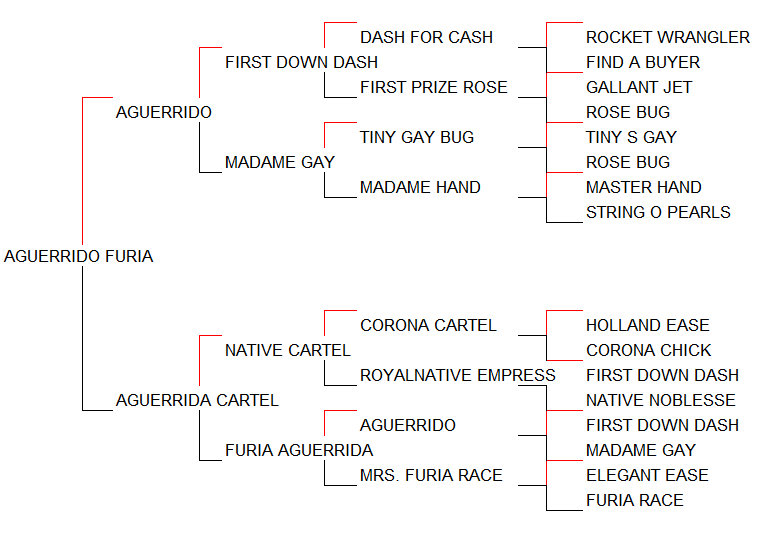 Pedigree Aguerrido Furia [Aguerrido x Aguerrida Cartel por Native Cartel]