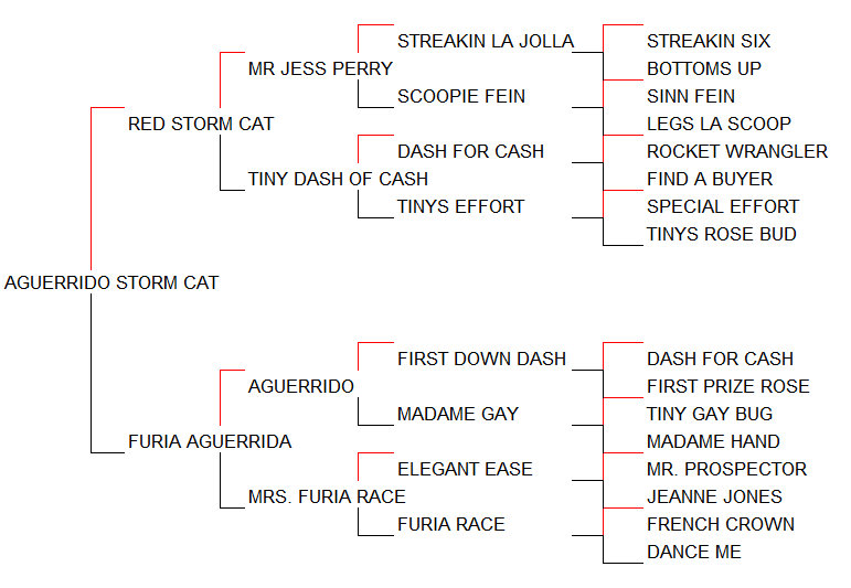 Pedigree Aguerrido Storm Cat [Red Storm Cat x Furia Aguerrida por Aguerrido]