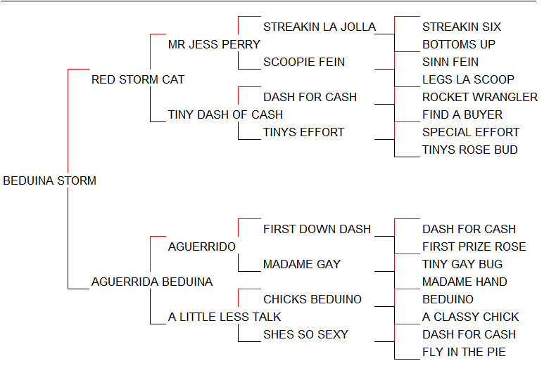 Pedigree Beduina Storm [Red Storm Cat x Aguerrida Beduina por Aguerrido]