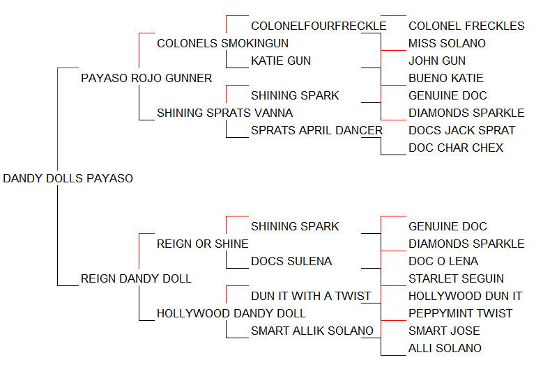 Pedigree Dandy Dolls Payaso [Payaso Rojo Gunner x Reign Dandy Doll por Reign Or Shine]