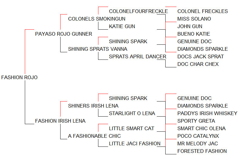 Pedigree Fashion Rojo [Payaso Rojo Gunner x Fashion Irish Lena por Shiners Irish Lena]