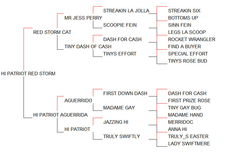 Pedigree Hi Patriot Red Storm [Red Storm Cat x Hi Patriot Aguerrida por Aguerrido]