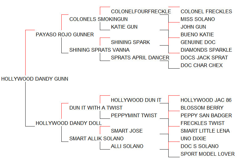 Pedigree Hollywood Dandy Gunn [Payaso Rojo Gunner x Hollywood Dandy Doll por Dun It With A Twist]