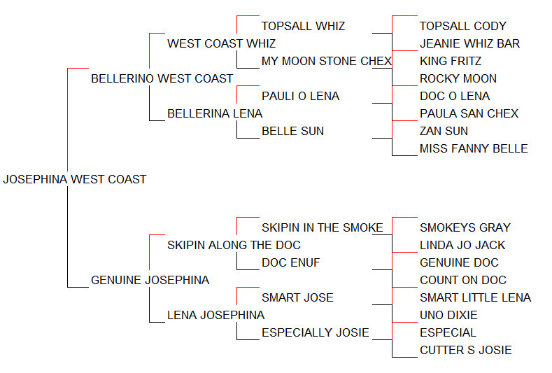 Pedigree Josephina West Coast [Bellerino West Coast x Genuine Josephina por Skipin Along The Doc]