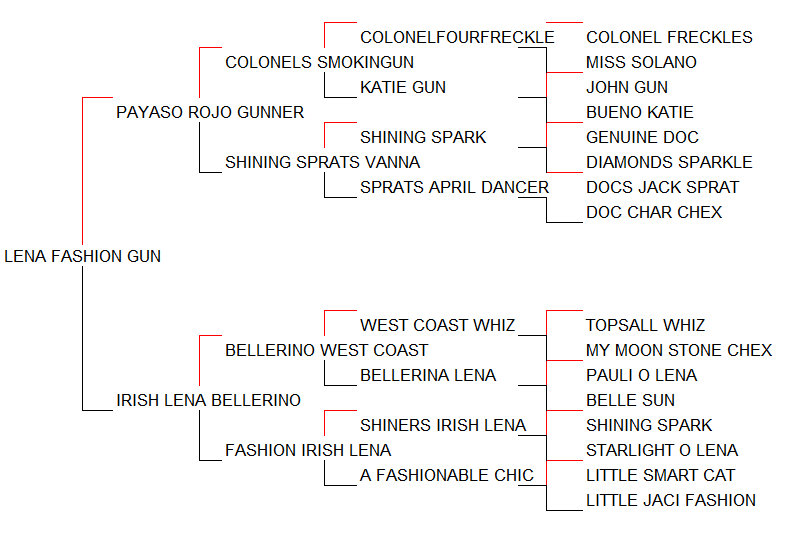Pedigree Lena Fashion Gun [Payaso Rojo Gunner x Irish Lena Bellerino por Bellerino West Coast]