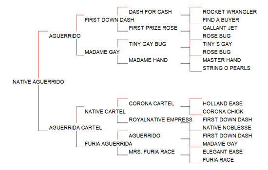 Pedigree Native Aguerrido [Aguerrido x Aguerrida Cartel por Native Cartel]