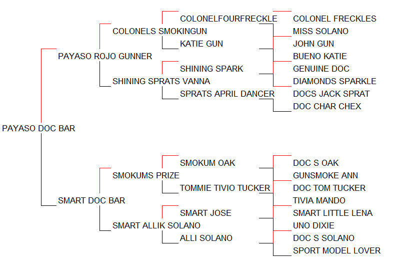 Pedigree Payaso Doc Bar [Payaso Rojo Gunner x Smart Doc Bar por Smokums Prize]