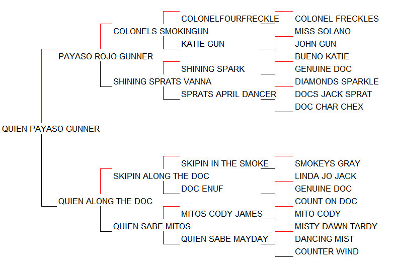 Pedigree Quien Payaso Gunner [Payaso Rojo Gunner x Quien Along The Doc por Skipin Along The Doc]
