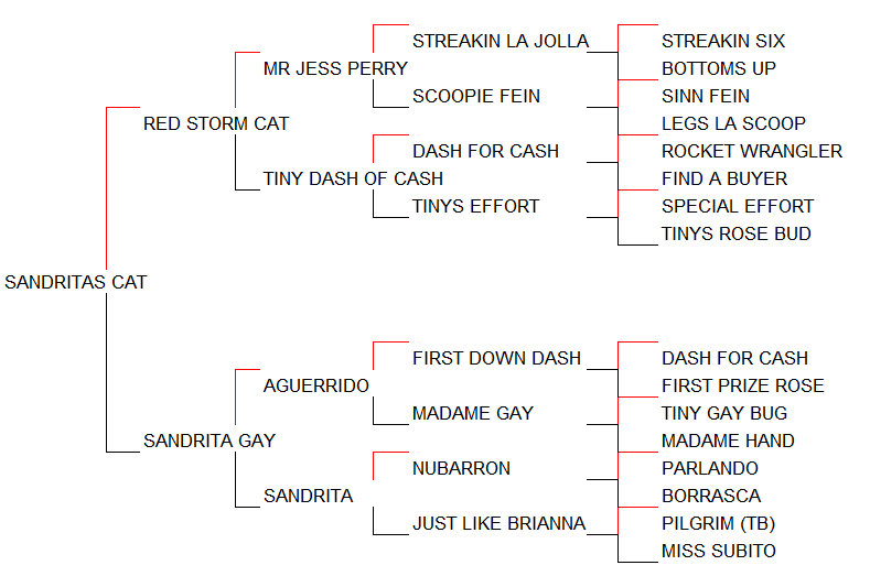Pedigree Sandritas Cat [Red Storm Cat x Sandrita Gay por Aguerrido]