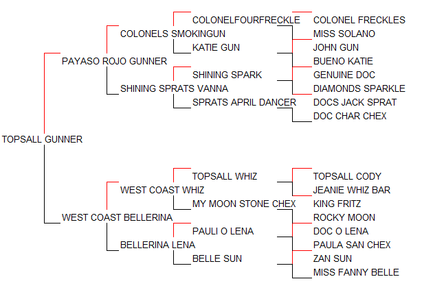 Pedigree Topsall Gunner [Payaso Rojo Gunner x West Coast Bellerina por West Coast Whiz]